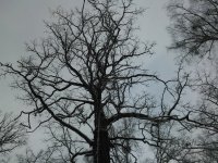 WP_000251.jpg