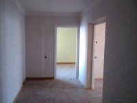 IMG_20130127_140346.jpg