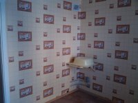 IMG_20130127_140552.jpg