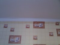 IMG_20130127_140619.jpg