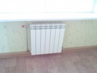 IMG_20130127_140842.jpg