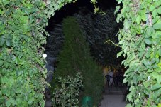 ASC_7480_новый размер.jpg