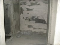 435.JPG