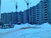 IMG_20130204_104351.jpg