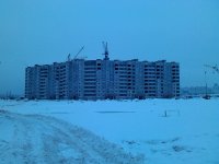 IMG_20130204_105258.jpg