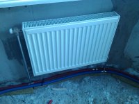 IMG_20130204_105621.jpg