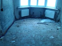 IMG_20130204_105606.jpg