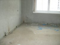 991c2e4f8081.jpg