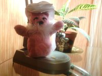IMG_20130207_192524.jpg