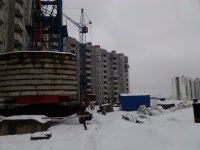 IMG_20130213_154956.jpg