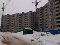 IMG_20130213_155603.jpg