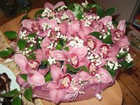 IMG_3669.JPG