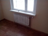 IMG_20130215_122712.jpg