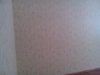 IMG_20130215_122800.jpg