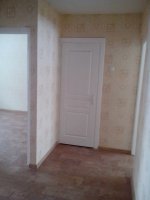 IMG_20130215_122820.jpg
