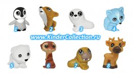 Детеныши полярных животных.jpg
