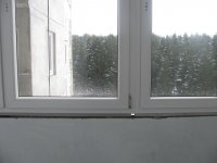 IMG_6412.JPG