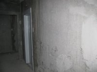 IMG_6441.JPG