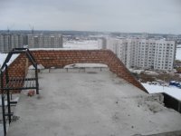 IMG_7547.JPG