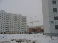 P1100535.JPG
