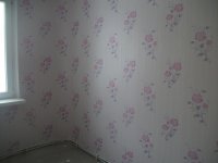 DSCF4176.JPG