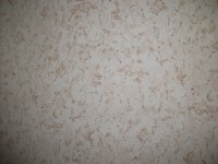 DSCF4179.JPG