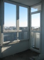 IMG_6505.jpg