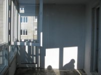 IMG_6507.jpg