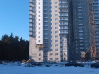 IMG_20130228_151823.jpg