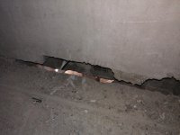 IMG_20130228_155341.jpg