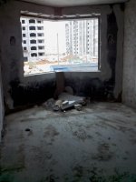 IMG10025.jpg