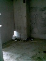 IMG10034.jpg