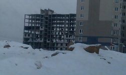 IMAG0119.jpg