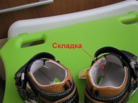 IMG_3979_1.jpg