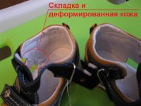 IMG_3982_1.jpg