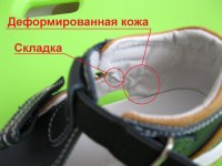 IMG_3978_1.jpg