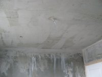 IMG_6585_thumb.jpg