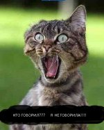 я не говорила.jpg