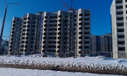 IMAG0209-1.jpg