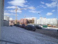 сад.jpg