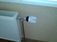 IMG_20130328_150120.jpg