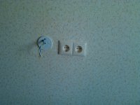 IMG_20130328_150142.jpg