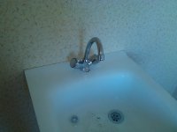 IMG_20130328_150156.jpg