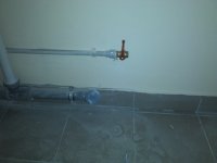IMG_20130328_150240.jpg