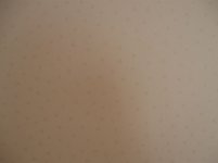 IMG_0163.JPG IMG_0163.JPG