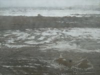 a767ab668106.jpg