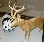 IMG_0032.jpg