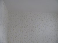 IMG_6675.JPG