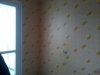 2013-04-06 13.09.56.jpg