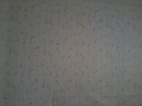 2013-04-06 13.11.31.jpg